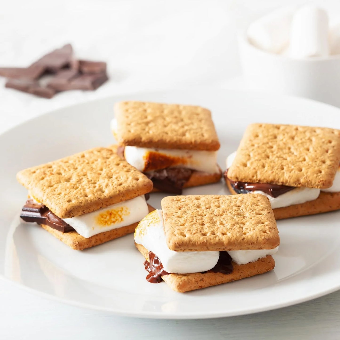 Indoor Electric S'mores Maker with Four Marshmallow Roasting Forks